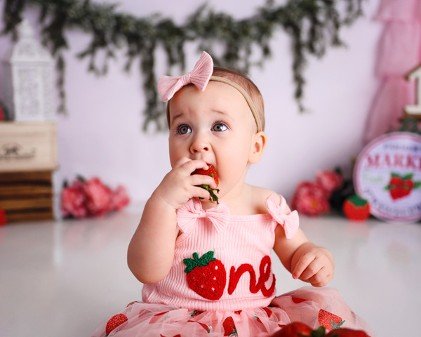 Toddler milestone first birthday celebration